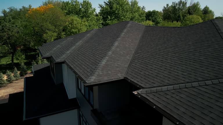 Best Flat Roofing  in Newton, TX